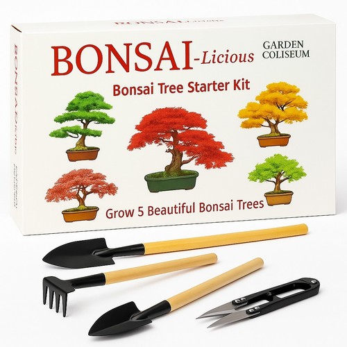 Bonsai tree kit grow 5 - -, of