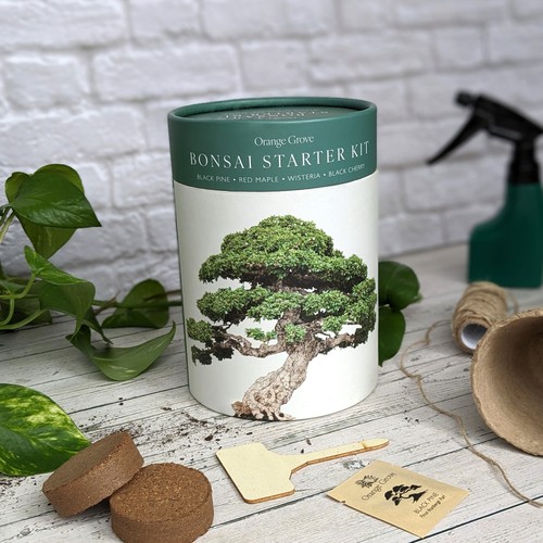 Bonsai starter kit - starter, your